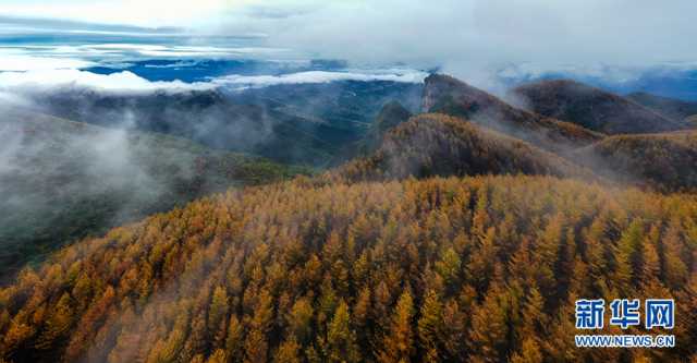 【“飞阅”中国】在梨子坪森林公园赴一场秋日之约 【“飞阅”中国】在梨子坪森林公园赴一场秋日之约