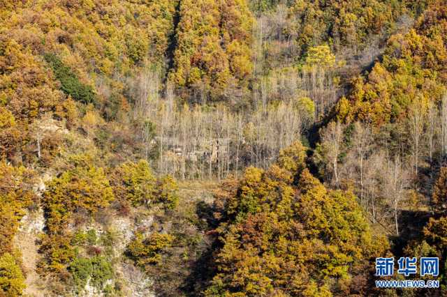 【“飞阅”中国】红叶正烂漫 王屋披“红妆”