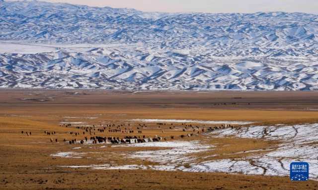 远山牧歌扬 远山牧歌扬