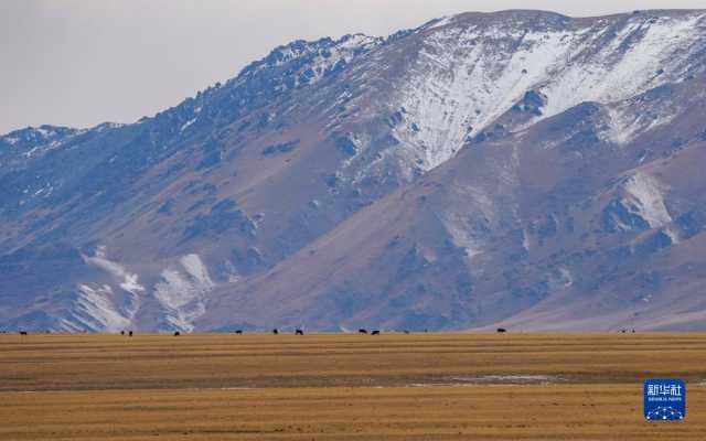 远山牧歌扬 远山牧歌扬