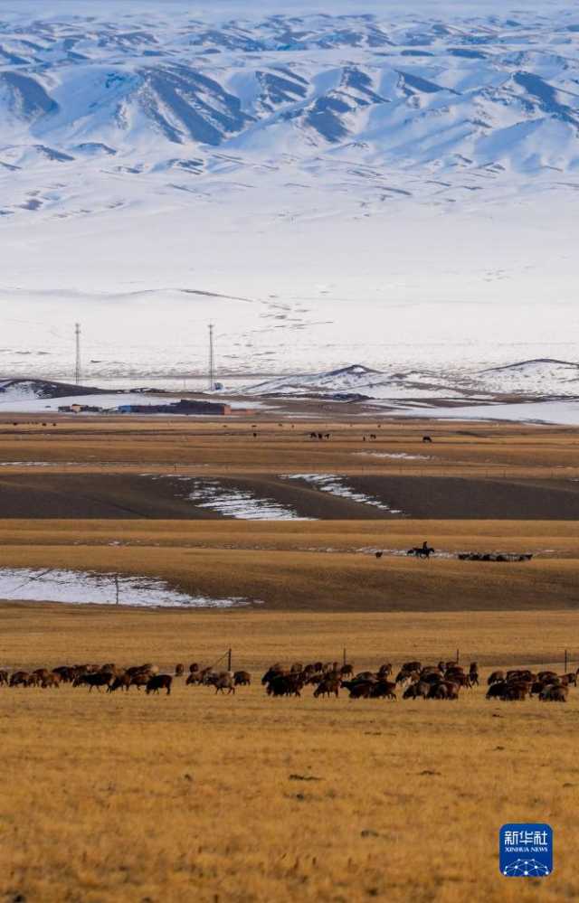 远山牧歌扬 远山牧歌扬