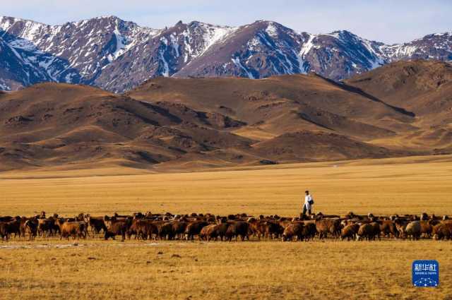 远山牧歌扬 远山牧歌扬