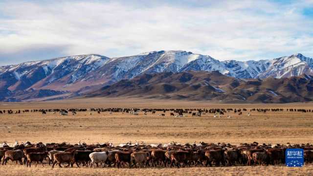 远山牧歌扬 远山牧歌扬