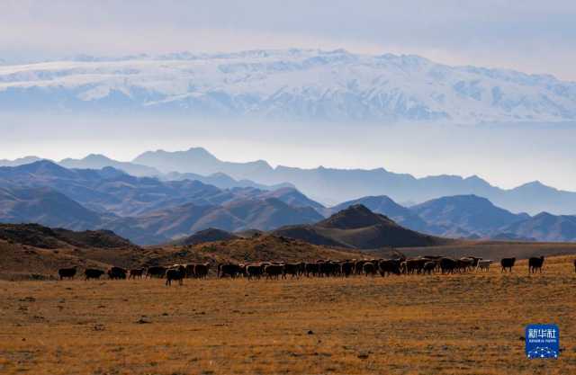 远山牧歌扬 远山牧歌扬