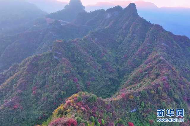 【“飞阅”中国】重庆酉阳：红叶美山林 秋色如画卷