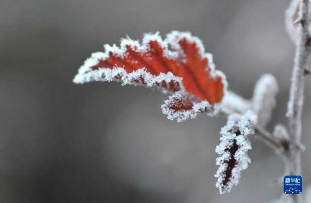 新华全媒+丨微视界——立冬