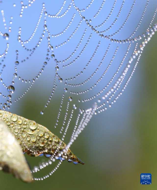 新华全媒+丨微视界——立冬