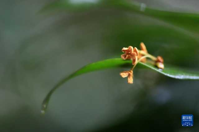 新华全媒+丨微视界——立冬