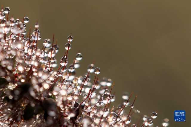 新华全媒+丨微视界——立冬