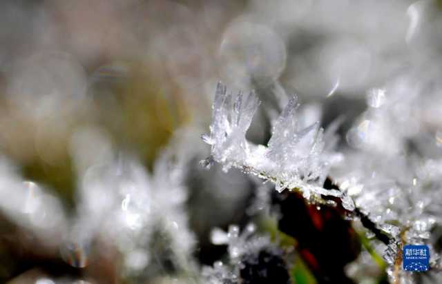 新华全媒+丨微视界——立冬