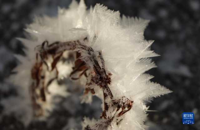 新华全媒+丨微视界——立冬