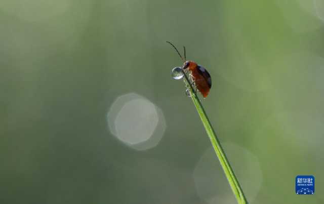 新华全媒+丨微视界——立冬