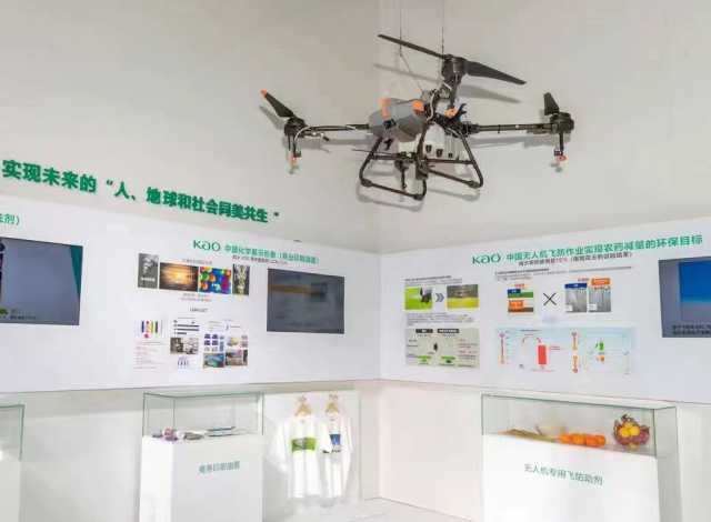 聚焦“同美共生”之树 进博会花王展馆精彩启幕