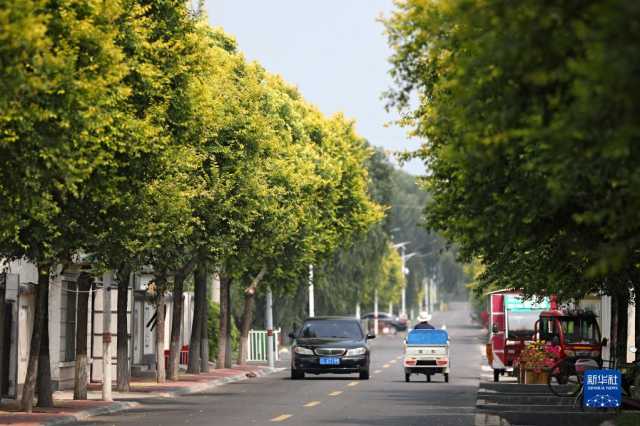 大美湿地城市丨盘锦