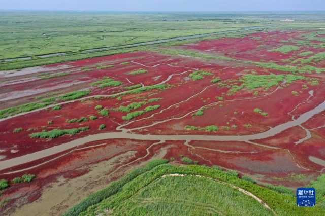 大美湿地城市丨盘锦