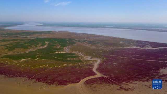 大美湿地城市丨盘锦