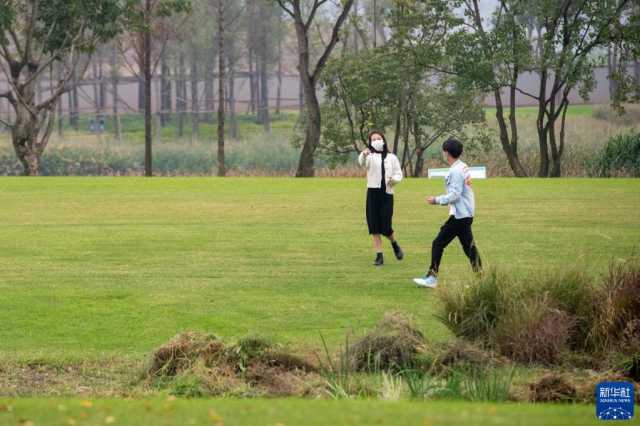 新华全媒+丨“鸟博士”见证长江上游最大江心岛生态蝶变