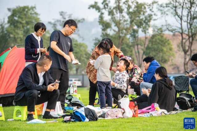 新华全媒+丨“鸟博士”见证长江上游最大江心岛生态蝶变
