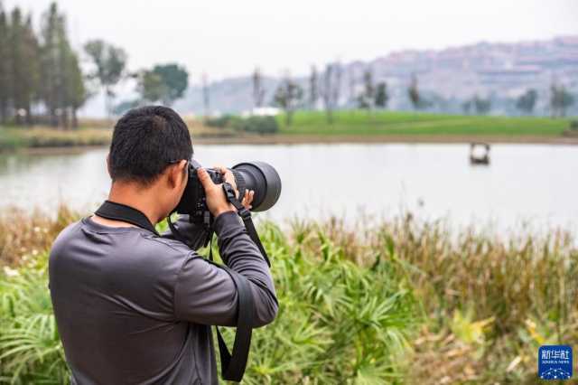 新华全媒+丨“鸟博士”见证长江上游最大江心岛生态蝶变