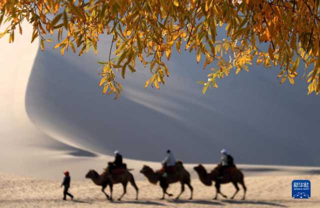 甘肃敦煌:秋色润鸣沙 月泉景如画 甘肃敦煌:秋色润鸣沙 月泉景如画