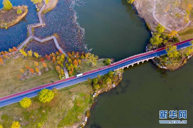 【“飞阅”中国】安徽淮北:湿地秋色醉人心 【“飞阅”中国】安徽淮北:湿地秋色醉人心