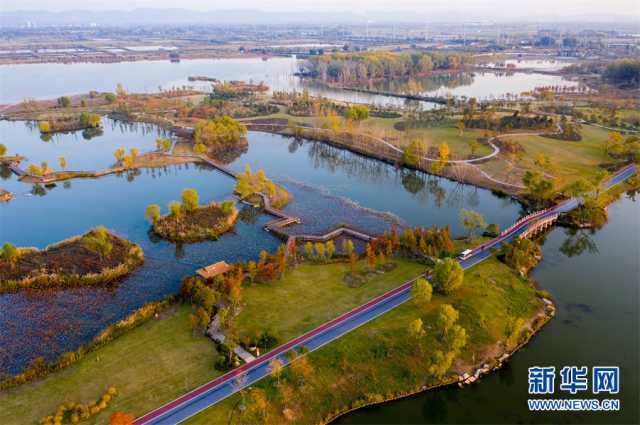 【“飞阅”中国】安徽淮北:湿地秋色醉人心 【“飞阅”中国】安徽淮北:湿地秋色醉人心