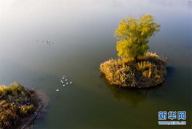 【“飞阅”中国】安徽淮北:湿地秋色醉人心 【“飞阅”中国】安徽淮北:湿地秋色醉人心
