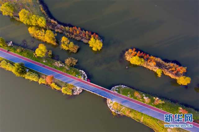 【“飞阅”中国】安徽淮北:湿地秋色醉人心 【“飞阅”中国】安徽淮北:湿地秋色醉人心