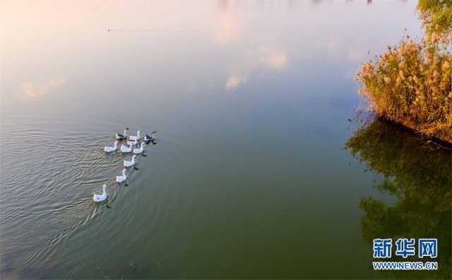 【“飞阅”中国】安徽淮北:湿地秋色醉人心 【“飞阅”中国】安徽淮北:湿地秋色醉人心