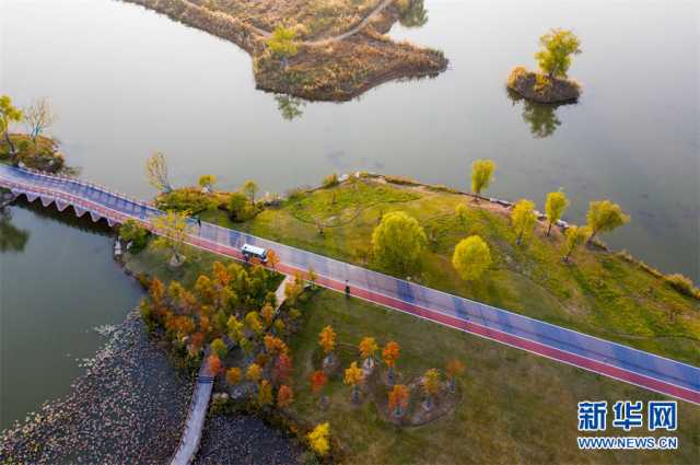 【“飞阅”中国】安徽淮北:湿地秋色醉人心 【“飞阅”中国】安徽淮北:湿地秋色醉人心