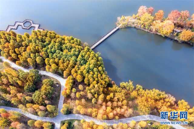 【“飞阅”中国】斑斓秋色 多彩湿地