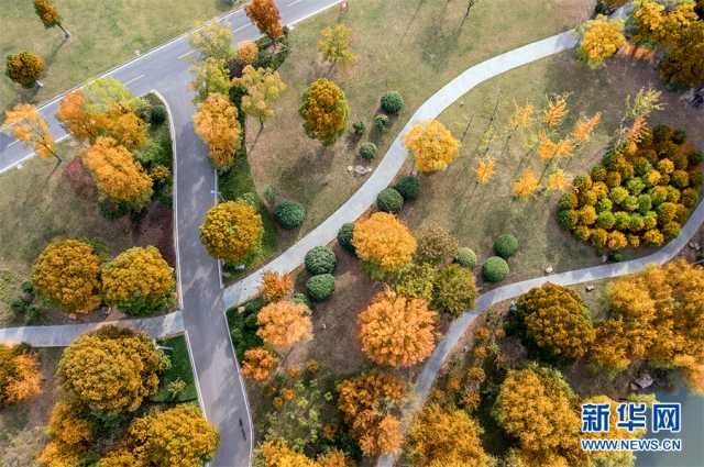 【“飞阅”中国】斑斓秋色 多彩湿地