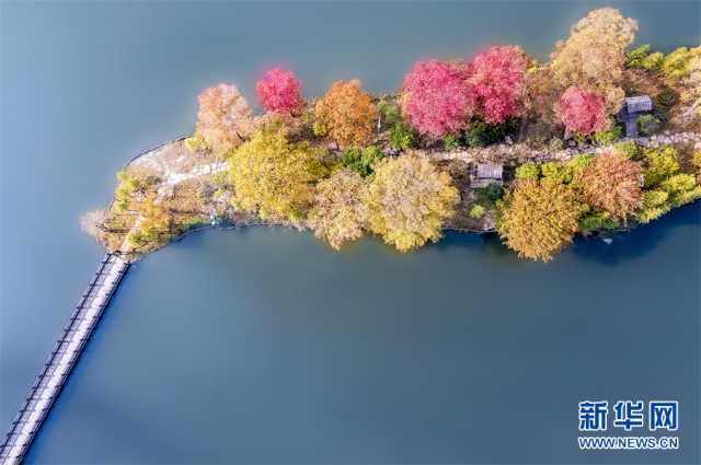 【“飞阅”中国】斑斓秋色 多彩湿地