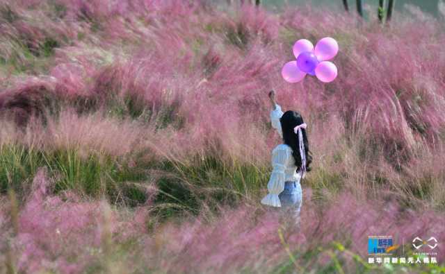 【“飞阅”中国】重庆广阳岛:江岛初冬美如画 【“飞阅”中国】重庆广阳岛:江岛初冬美如画