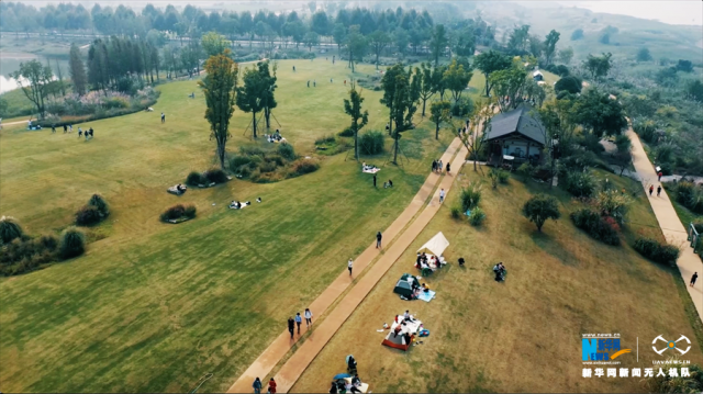 【“飞阅”中国】重庆广阳岛:江岛初冬美如画 【“飞阅”中国】重庆广阳岛:江岛初冬美如画