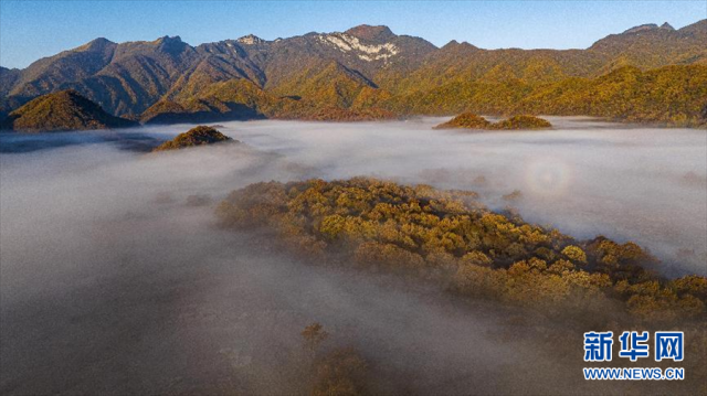 领略湿地之美|神农架大九湖的秋日清晨