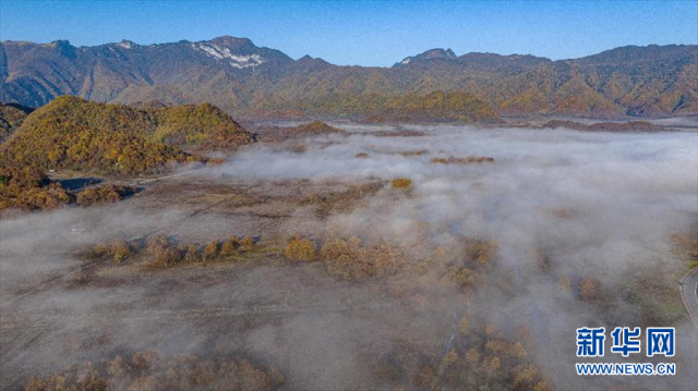 领略湿地之美|神农架大九湖的秋日清晨