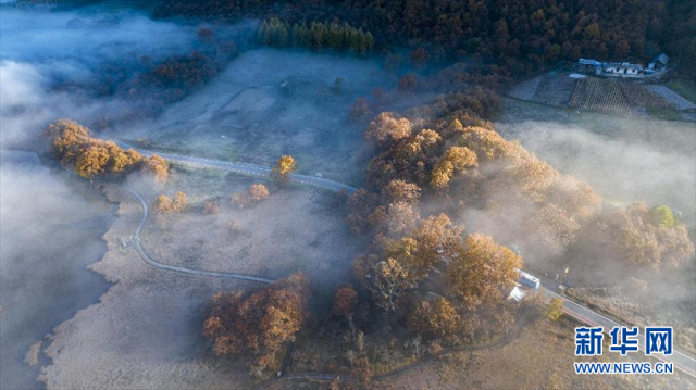 领略湿地之美|神农架大九湖的秋日清晨
