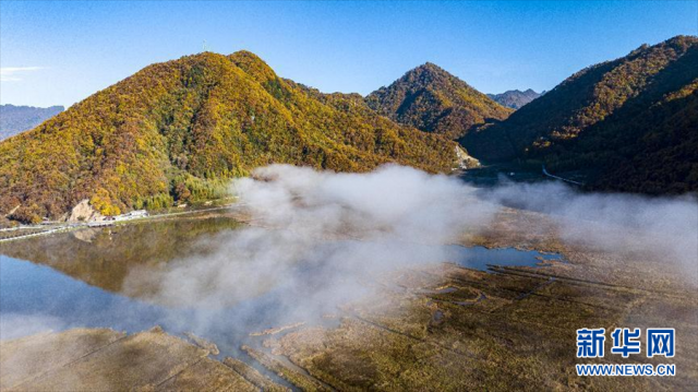 领略湿地之美|神农架大九湖的秋日清晨