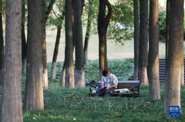 新华全媒+丨武汉青山江滩：旧工业码头的绿色蝶变