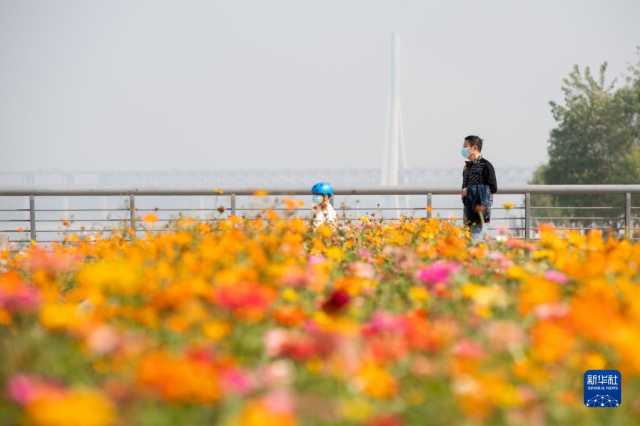 新华全媒+丨武汉青山江滩：旧工业码头的绿色蝶变