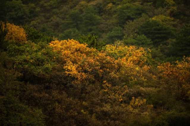 光影一瞥:白洋淀上的“破冰”美景 光影一瞥:白洋淀上的“破冰”美景