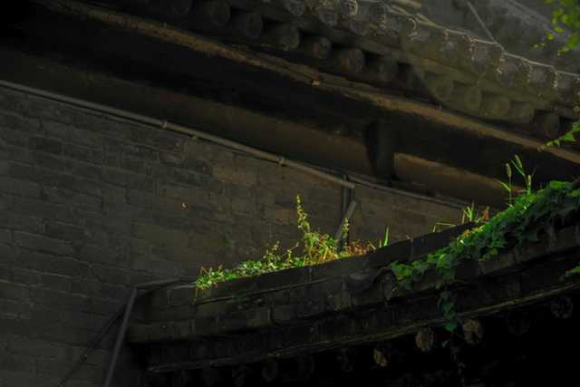 光影一瞥:白洋淀上的“破冰”美景 光影一瞥:白洋淀上的“破冰”美景