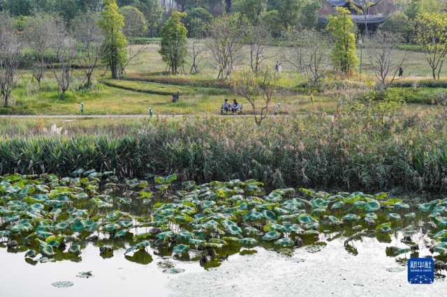 大美湿地城市丨重庆梁平
