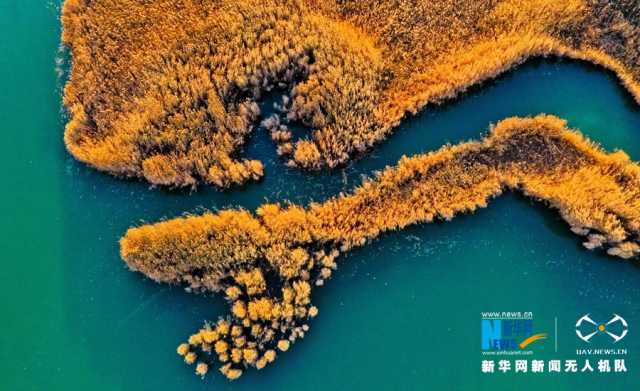 【“飞阅”中国】戈壁湿地：碧波荡漾 芦苇流金