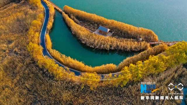 【“飞阅”中国】戈壁湿地：碧波荡漾 芦苇流金