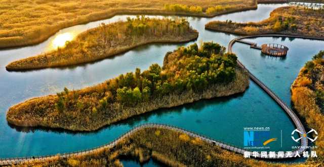【“飞阅”中国】戈壁湿地：碧波荡漾 芦苇流金