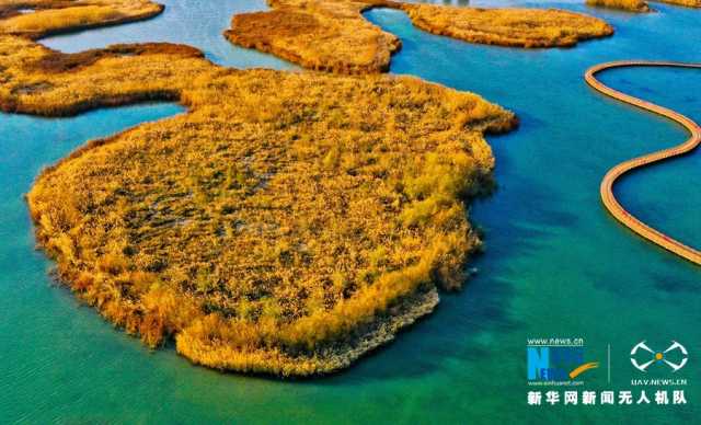 【“飞阅”中国】戈壁湿地：碧波荡漾 芦苇流金