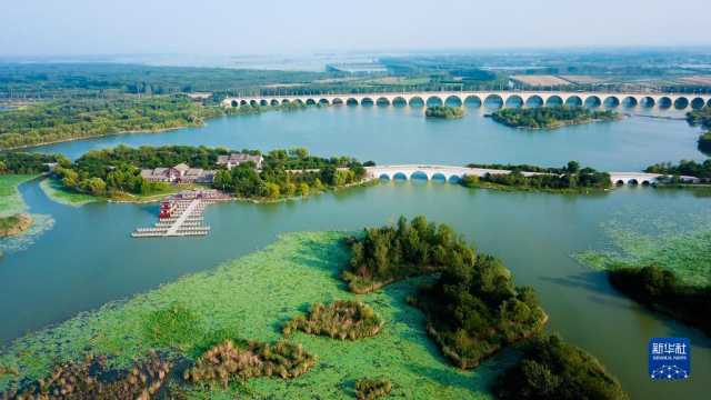 大美湿地城市丨济宁 大美湿地城市丨济宁
