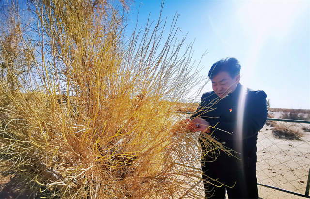 踔厉奋发向未来·二十大精神在基层丨内蒙古乌拉特草原牧民：守护北疆绿色生态屏障